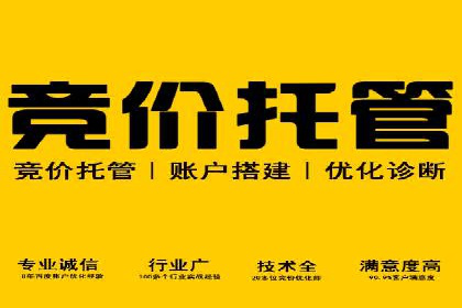 竞价推广实战案例：网络营销攻略